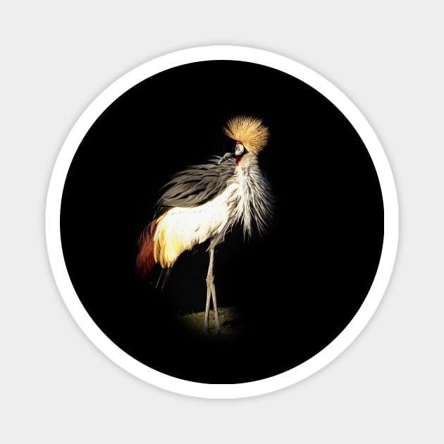 Grey crowned crane Magnet by Guardi